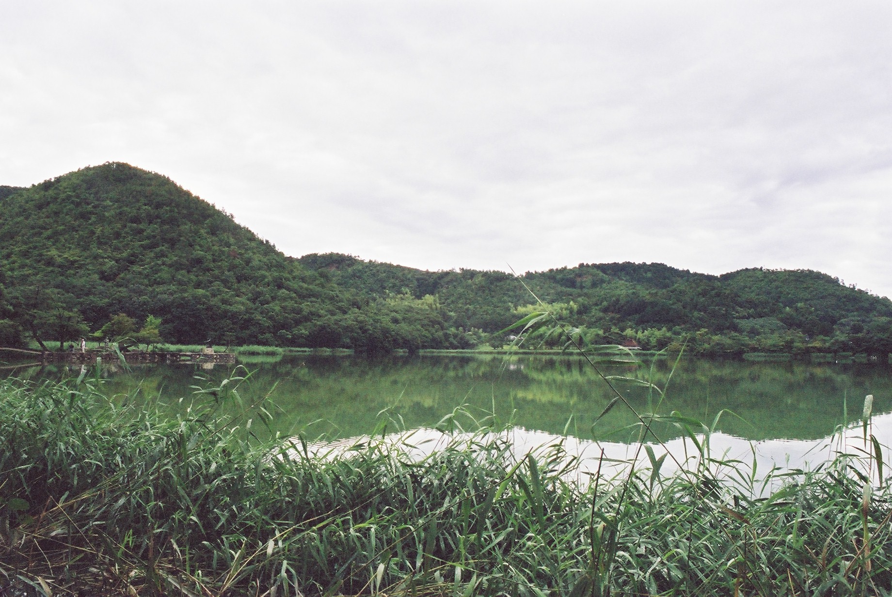 広沢池