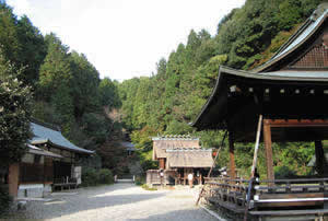 日向大神宮の美しい庭園