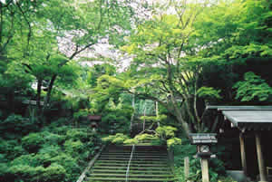 日向大神宮の美しい庭園