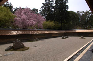 竜安寺の石庭