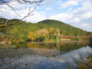 竜安寺の鏡容池