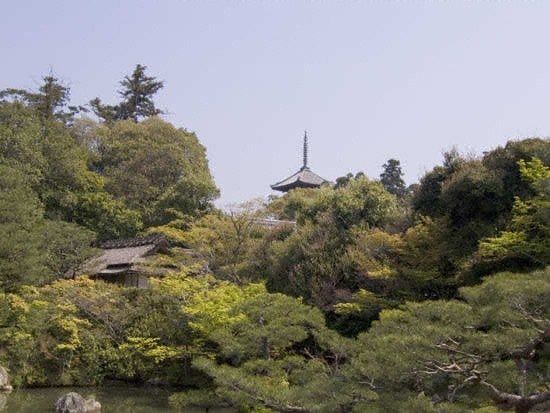 Ninna-ji photo 9