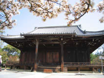 Ninna-ji photo 11