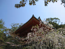 Ninna-ji photo 16