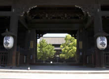 To-ji photo 7