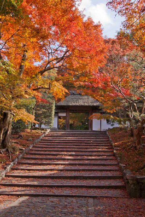 安楽寺