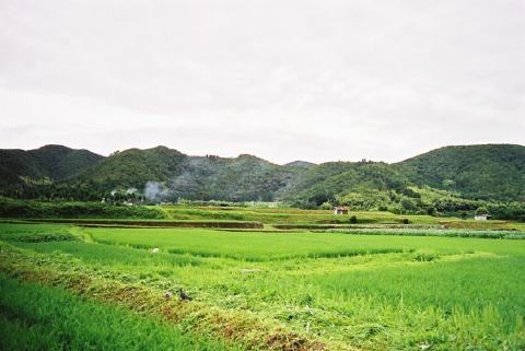 千代の古道の写真 1