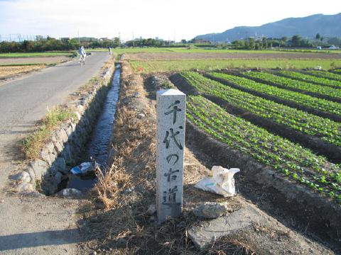 千代の古道の写真 2