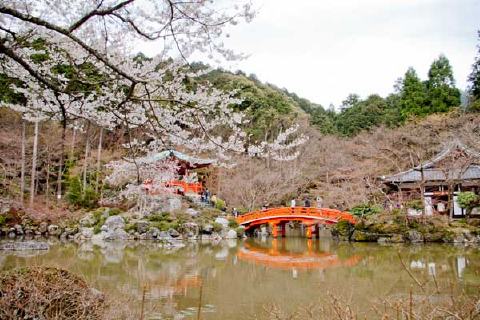 醍醐寺の写真 5