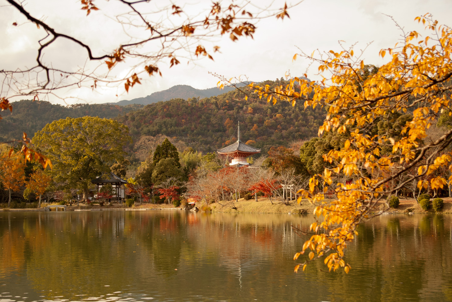 大覚寺