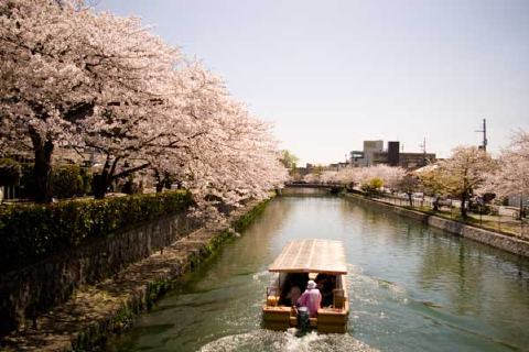 平安神宮の写真 3