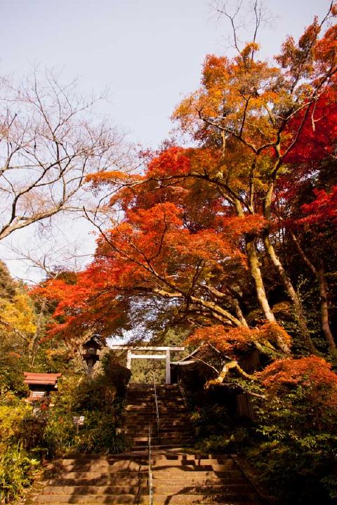 日向大神宮の写真 4