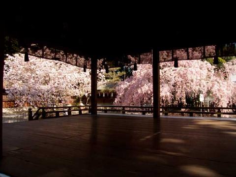 平野神社の写真 3