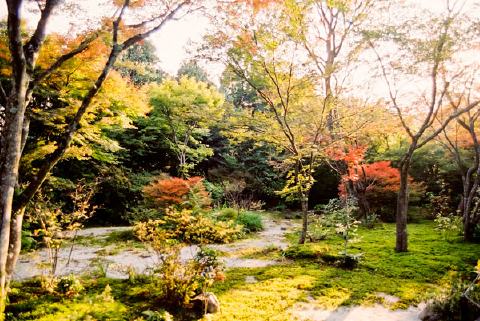 宝筺院