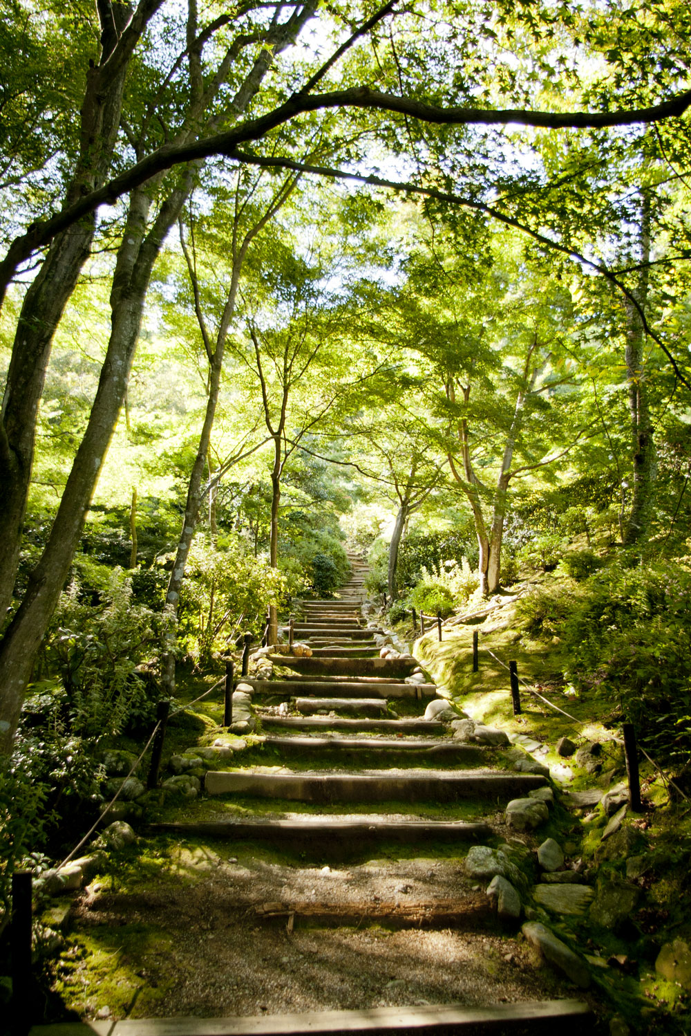 常寂光寺の写真 1