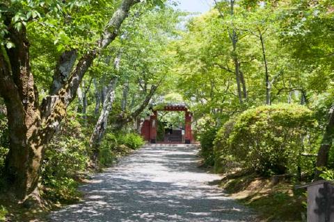 常照寺