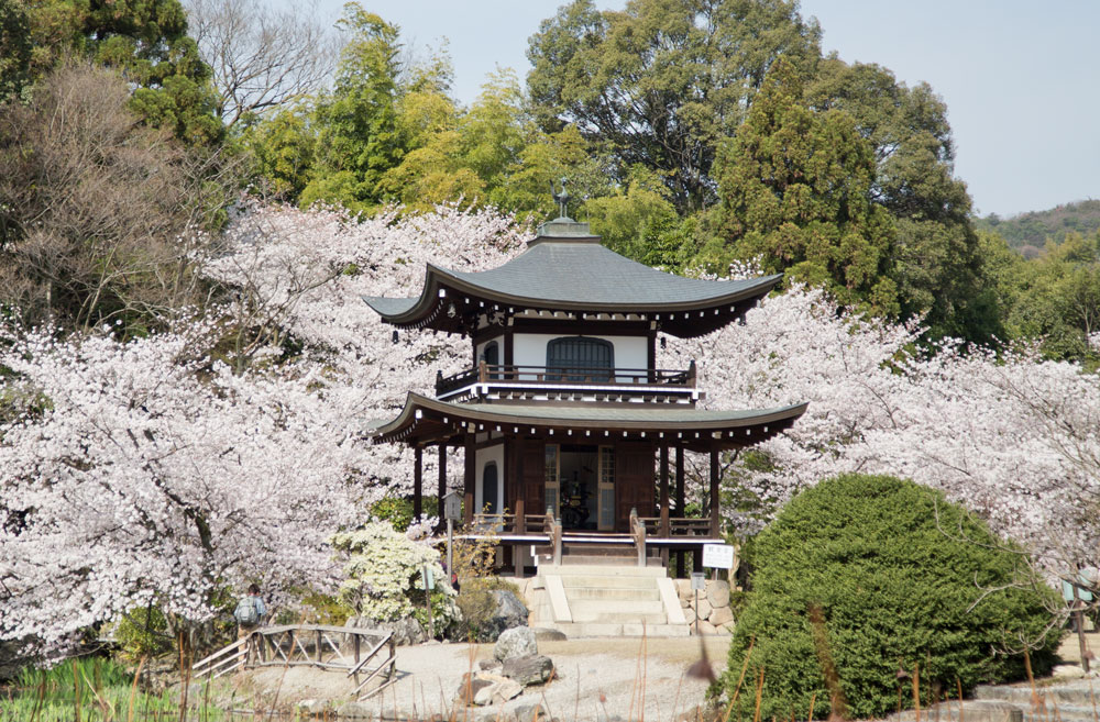 勧修寺の写真 1