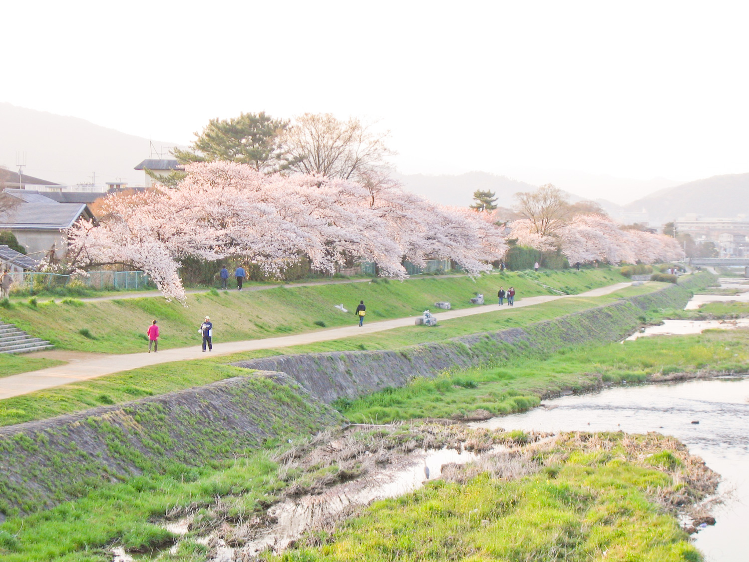 鴨川の写真 3