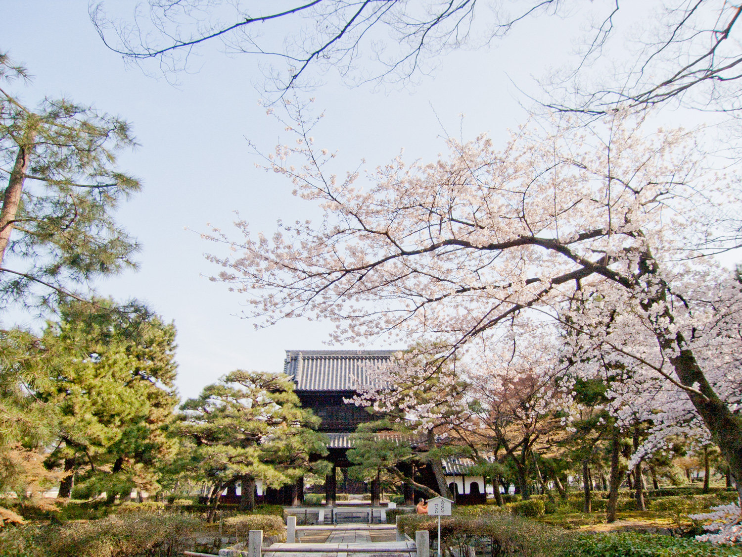 建仁寺の写真 2