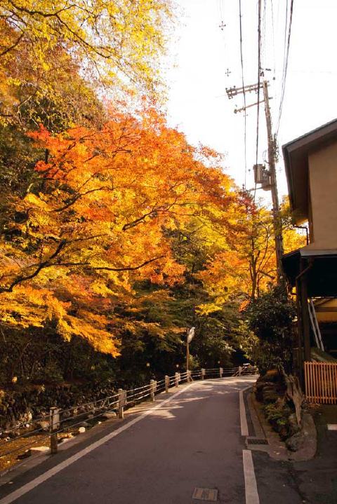 貴船神社の写真 4