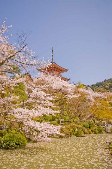 清水寺の写真 3