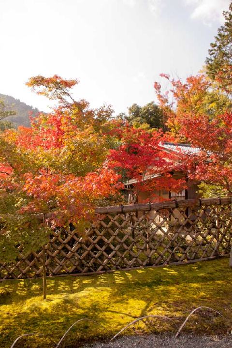 光悦寺