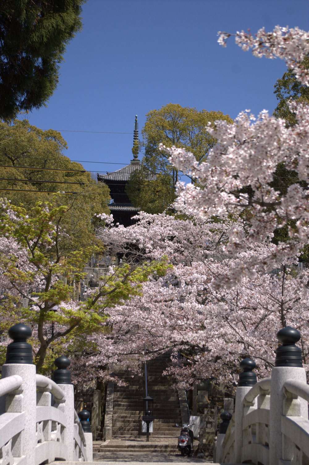 金戒光明寺