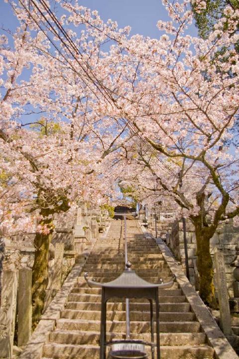 金戒光明寺の写真 2