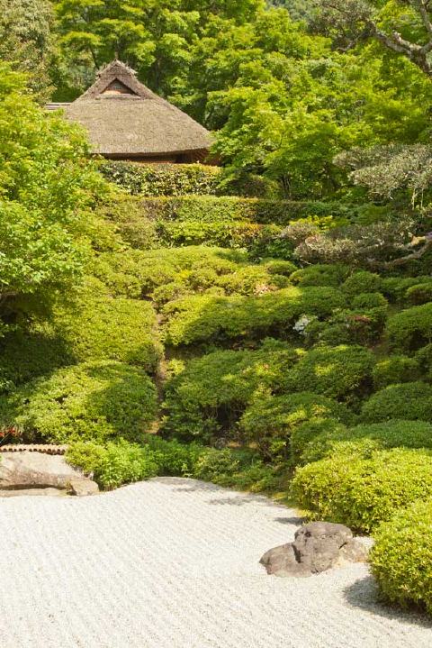 金福寺の写真 1