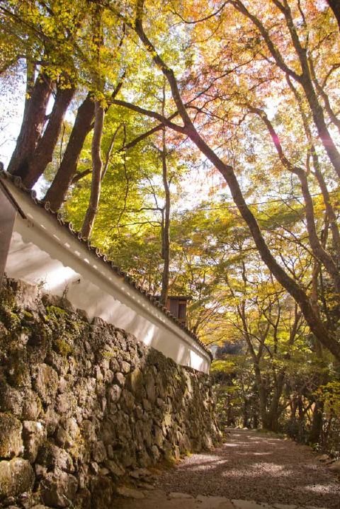 高山寺の写真 2