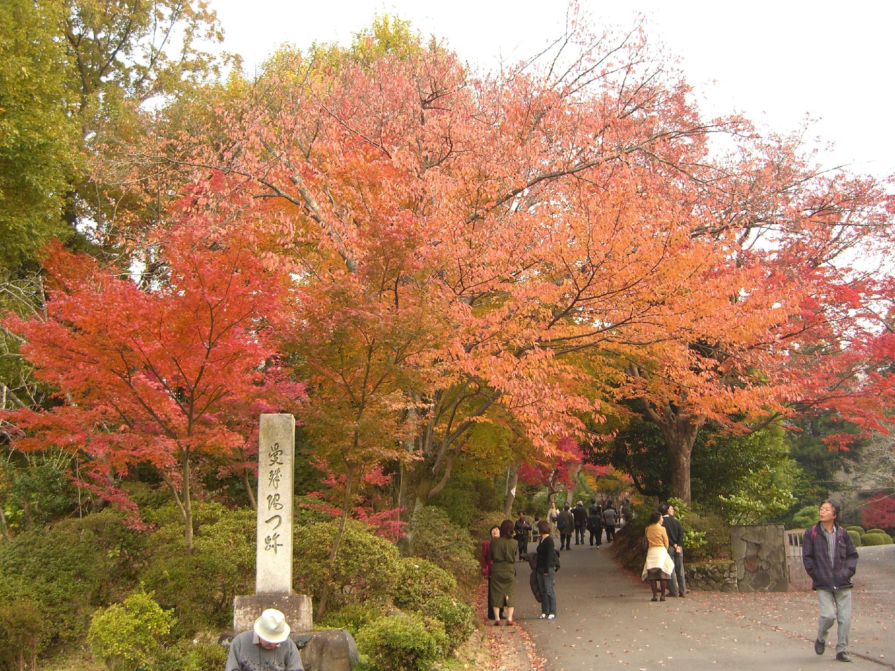 曼珠院門跡の写真 1