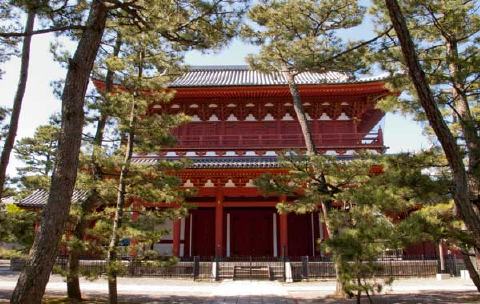 妙心寺の美しい庭園