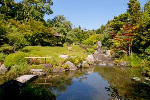 退蔵院の美しい庭園