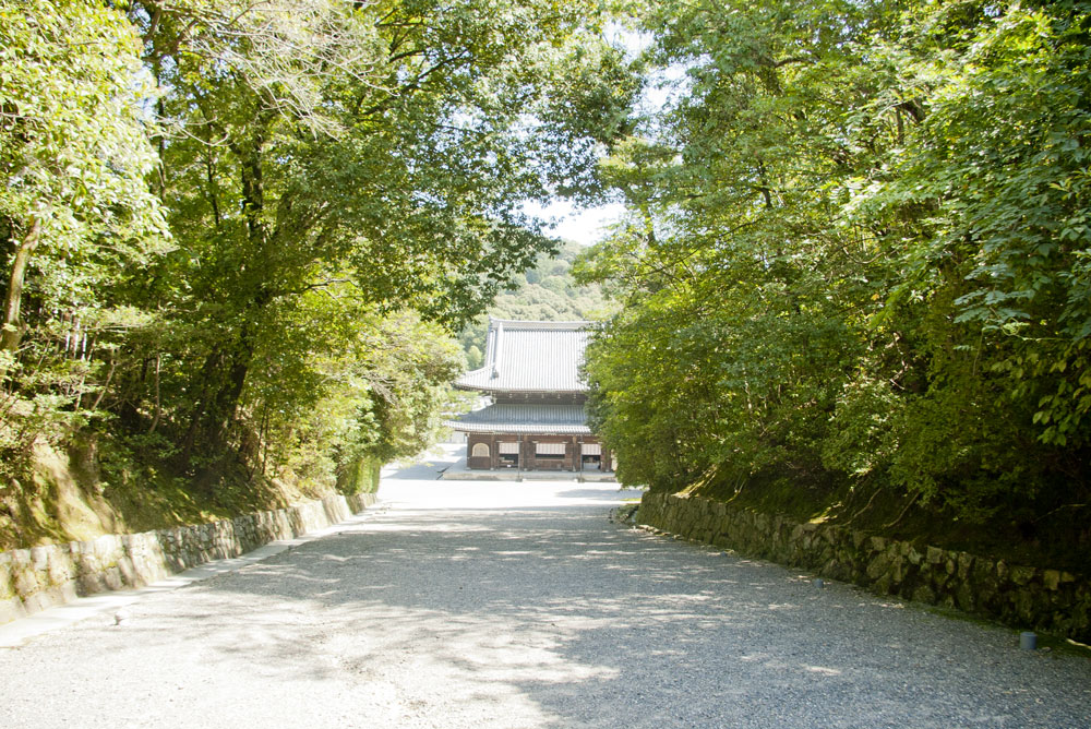 泉涌寺の写真 1