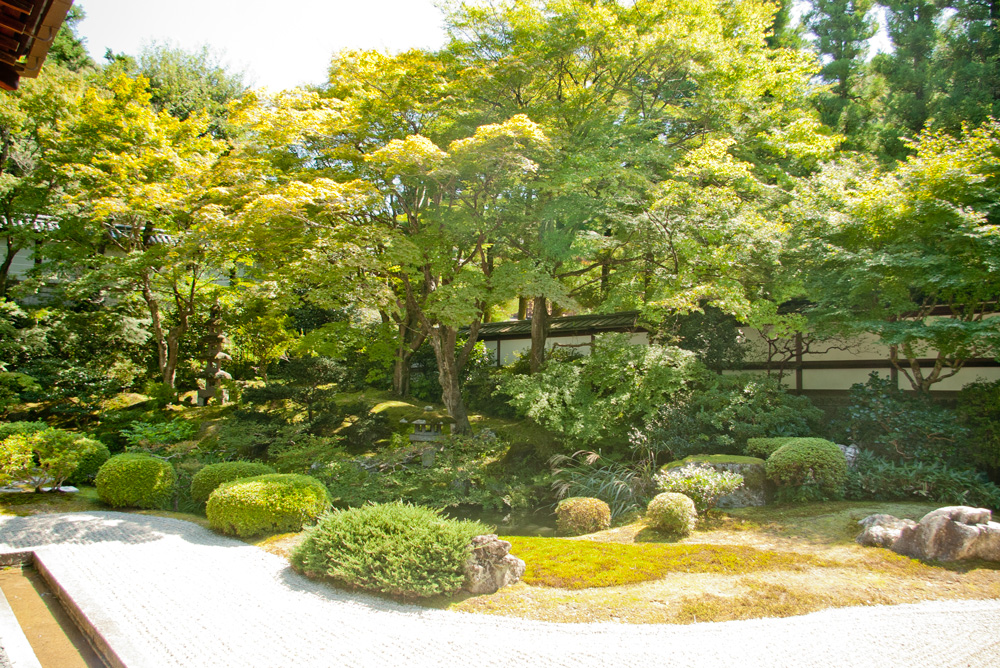 泉涌寺の写真 2