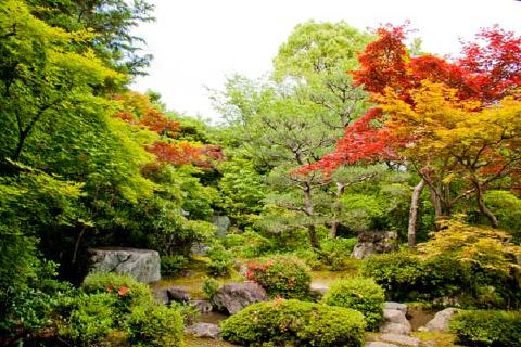 社家の道の写真 1