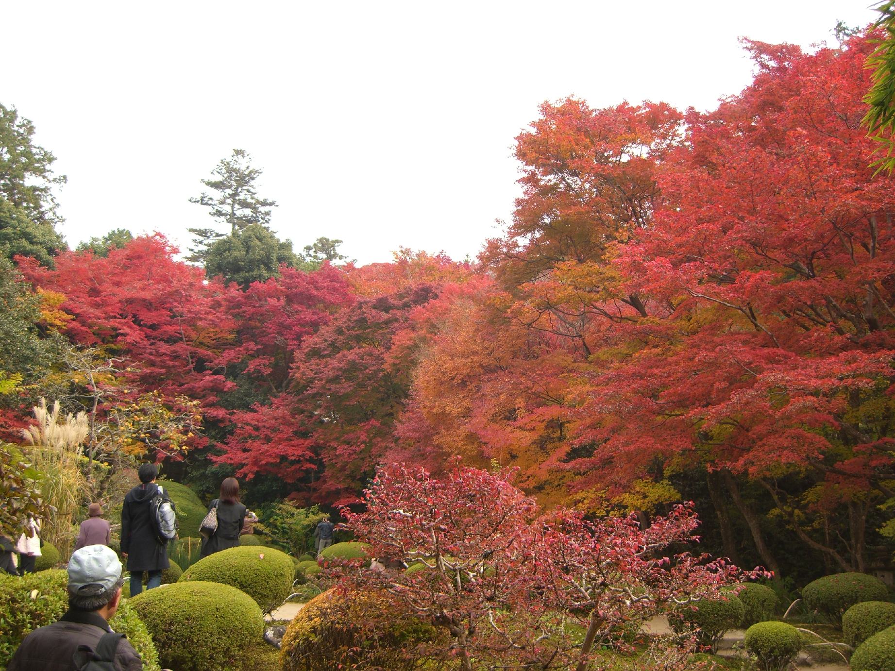 詩仙堂・丈山寺