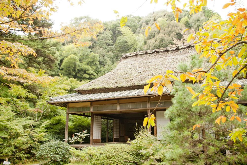 滝口寺の写真 1