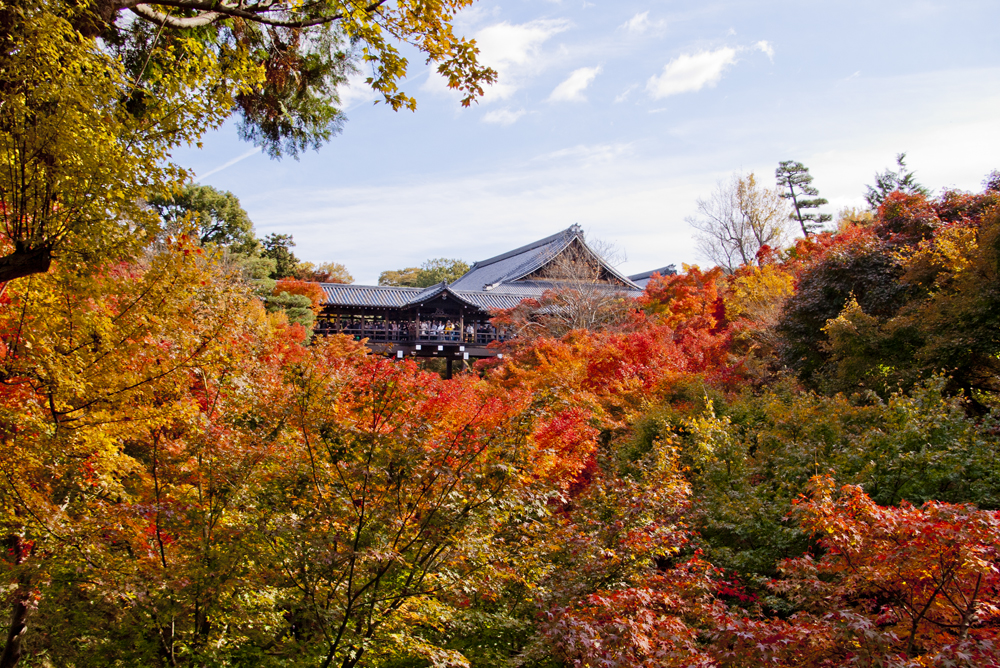 東福寺の写真 1