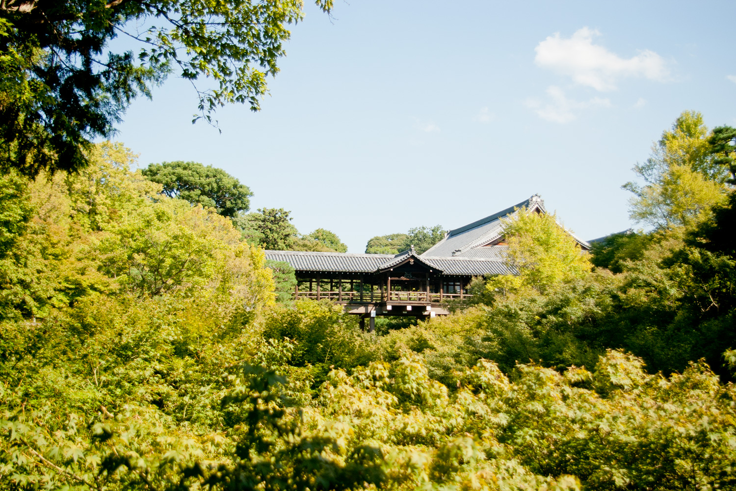 東福寺の写真 5