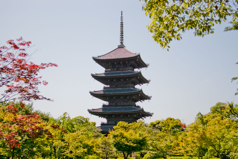 東寺の写真 1