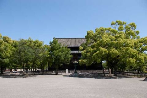 東寺の写真 5