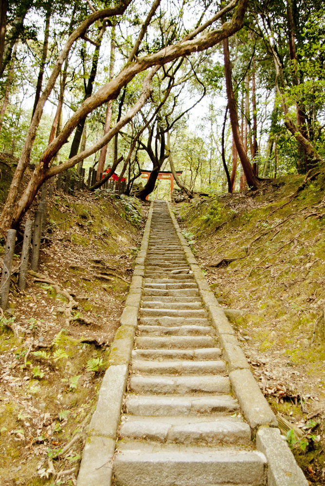 吉田神社の写真 2