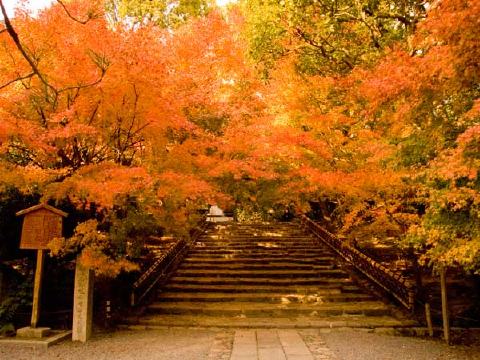 秋の龍安寺