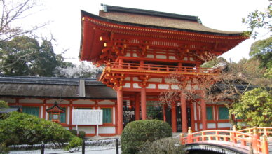 京都のおすすめ桜スポット 4上賀茂神社