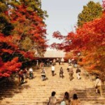 神護寺 秋の風景